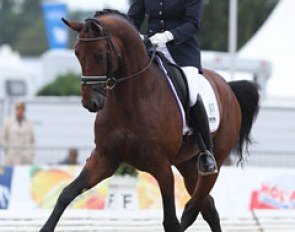 Dutch Gerdine Maree and Ziesto (by Lancet x Clavecimbel) were 16th in the preliminary test with  8.04 but won the consolation finals with 8.42 at the 2010 World YH Championships.