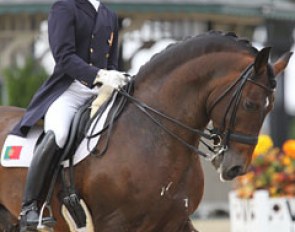 Goncalo Carvalho and Rubi at the 2010 World Equestrian Games :: Photo © Astrid Appels