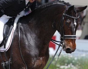 An ecstatic Steffen Peters gives Ravel a pat
