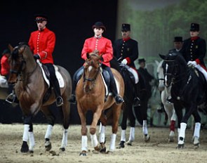 Four State Studs work together for Cheval Passion in Avignon