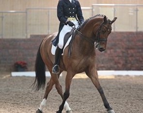 Sorrell Klatzko on Tornado at the 2011 Irish Winter Dressage Championships