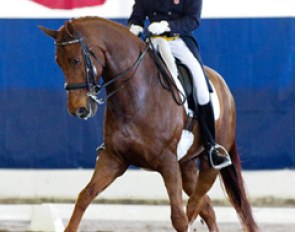 Guenter Seidel and U II make their come back at the 2011 CDI Del Mar :: Photo © Terri Miller