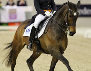 Jenny Schreven and Krawall at the 2011 CDI-W 's Hertogenbosch :: Photo © Astrid Appels