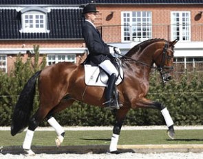 Andreas Helgstrand on Sieger Hit (by Sandro Hit x Donnerhall)