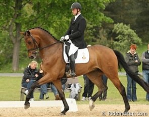 Ulrik G. Sørensen on Romando :: Photo © Ridehesten.com