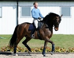 Joachim Thomsen on Lusingando