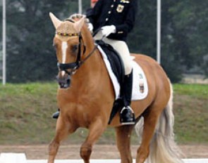 The youngster competitor in dressage: 11 and a half year old Semmieke Rothenberger on Domino Dancing