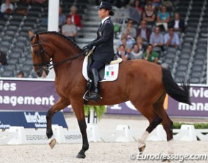 Ester Soldi and Harmonia at the 2011 European Championships in Rotterdam, where they scored 61.292% in the Grand Prix team test :: Photo © Astrid Appels
