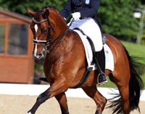 Angela Sklavounos on Quanderas