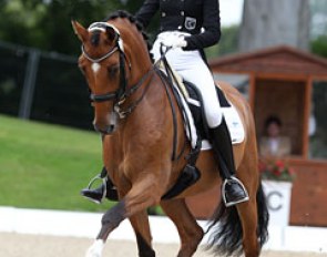 Finnish Emmi Autio on Solos Lacan. The horse was unlevel and got eliminated. Strange. There was another irregular horse in the junior division but that didn't get rung out