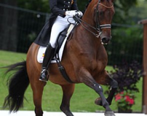 What an uphill canter!!! Lord de Nicole, ridden by Estefania Rios