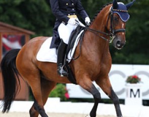 Last week at the CDIO Aachen under Valentina Truppa, this week at the European Championships with Maria Maddalena Zambaiti