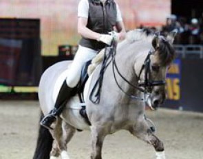 Pinocchio,  a "Dülmener Wildpferd", presents advanced movements in a clinic with Britta Schöffmann