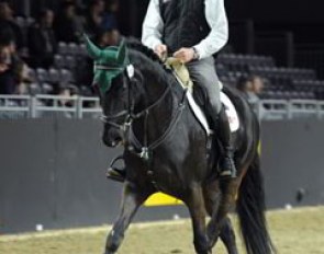 Different roads -- one goal: A Xenophon presentation showing that it's suppleness that's important, not which kind of saddle is on a horse's back: show jumping rider Thorben Rüder