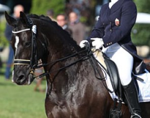 Fanni Nagi on Milan at the 2011 CDIO-JR Hagen :: Photo © Astrid Appels