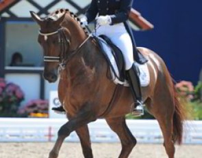 Swedish Tinne Vilhelmson-Silfven on Favourit (by Fidermark x Worldchamp)