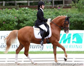 Reka Zengo on Ponyto at the 2011 CDIO-P Hagen :: Photo © Astrid Appels