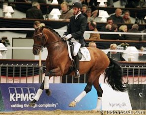 Andreas Helgstrand and Sieger Hit at the 2011 Danish Warmblood Stallion Licensing :: Photo © Ridehesten.com