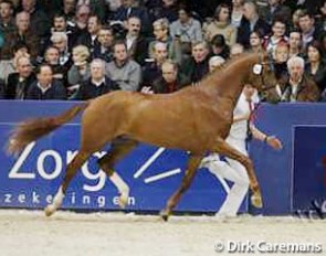 Doi Doi Doi (by Vivaldi x Gribaldi) :: Photo © Dirk Caremans