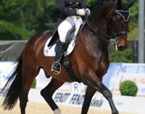 Victoria Michalke on the Dutch warmblood Pavarotti (by Ferro)