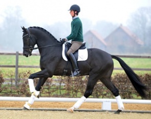 Darkboy (by Vivaldi x Havidoff x Ferro) :: Photo © Tanja Becker