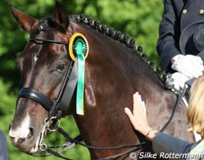 The Oldenburg stallion Weltino (by Welt Hit II)
