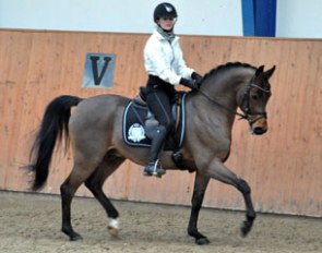 Alexandra Sorensen and Klooster's Eltino at the 2011 Middelfart Pony Training Session :: Photo © Caroline Aarosin