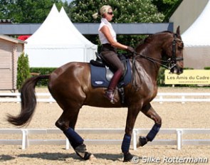 Amy Stovold and MacBrian in the "Carriere d'Honneur" at the 2011 CDIO Saumur :: Photo © Silke Rottermann