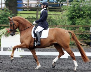 Marne Martin-Tucker and Royal Coeur at the 2011 CDN Somerford Park