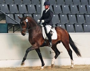 Anja Engelbart presenting Foundation (by Fidertanz x De Vito) :: Photo © Christina Beuke
