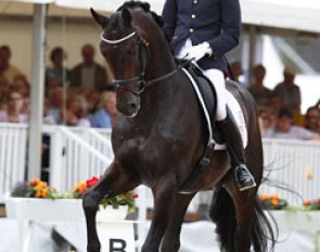 Tom Franckx and Bon Bravour at the 2011 World Championships for young dressage horses in Verden, Germany :: Photo © Astrid Appels