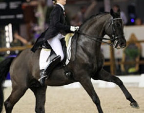 French Camille Judet-Cheret on the 15-year old stallion Ronaldo (by Rubinstein). Many mistakes in the canter work pushed their score down considerably.