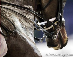 Dressage horse in competition :: Photo © Astrid Appels