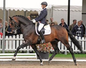 Markus Suchalla and Catoo at the 2012 Bundeschampionate :: Photo courtesy Holsteiner verband