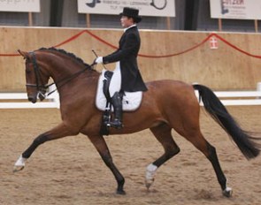 Heslegards Paganini (aka Patronus) under Lykke Reichert competing in Denmark in 2012 :: Photo © Ridehesten