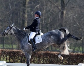 Vivian de la Roy on Ciara (by Sandreo x Lansing). This grey mare got a bit moody when she refused to go towards the judges' box. The rider was able to convince her to do a 10 minute display after the mare's little tantrum