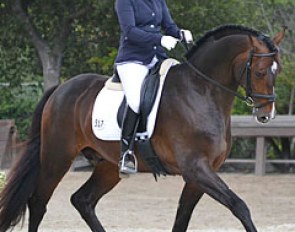 Sabine Schut-Kery and Sanceo at the 2012 CDI Flintridge :: Photo © Jennifer Keeler