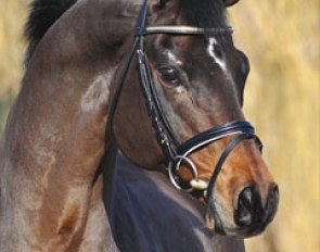 Caprimond (by Karon x Mackensen)