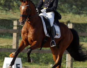 Valerie Brabanders' Twister has a fantastic canter