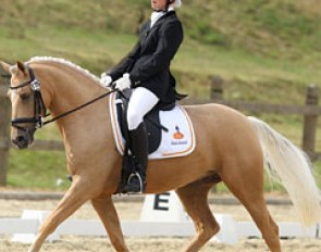 Theo Diabolo at the 2012 CDI-P Leudelange :: Photo © Astrid Appels