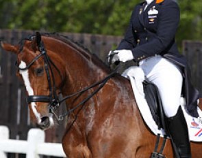 Antoinette te Riele on Ziggy
