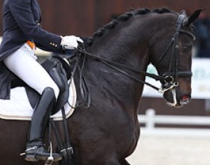 Brigit van der Drift on Santo Domingo