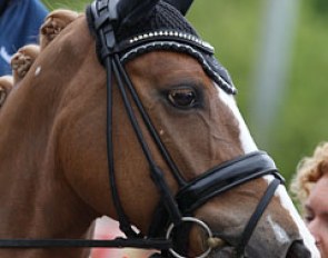 Rosalie Bos' Paso Double (by Bodo)