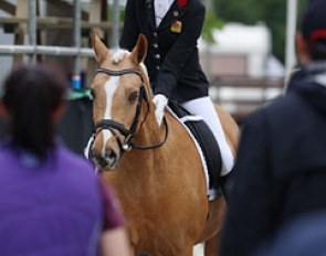 Erin Williams walks through the crowds with Dynasty after finishing a winning test