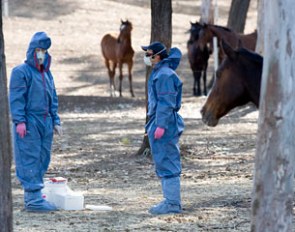 Hendra Virus outbreak in Australia