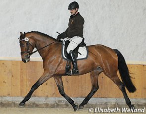 Guest judge rider Wolfgang Arnold on the 2013 Swiss Breed Classic winner Golden Lilly KWG (by L'Espoir x Abanos) :: Photo © Elisabeth Weiland