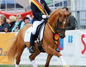 Francesca Heil and Dimension win the 5-year old division at the 2013 Bundeschampionate :: Photo © Barbara Schnell