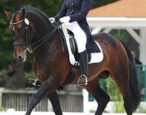 Kate Dwyer and Reve d'Or at the 2013 CDI Compiegne :: Photo © Astrid Appels