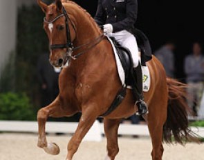 Adelinde Cornelissen and Parzival at the 2013 CDI-W 's Hertogenbosch :: Photo © Astrid Appels