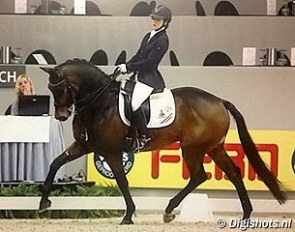 Chantal van Lanen and Arthur competing in a national class at the 2013 CDI-W 's Hertogenbosch :: Photo © Digishots.nl